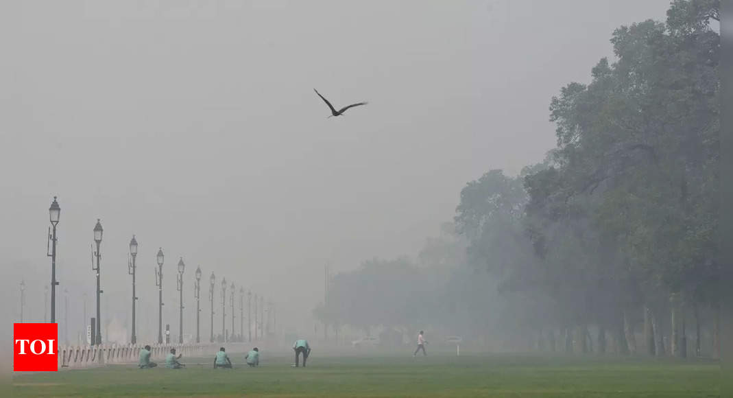 Supreme Court to hear on November 10 plea on worsening air pollution in Delhi-NCR | India News – Times of India