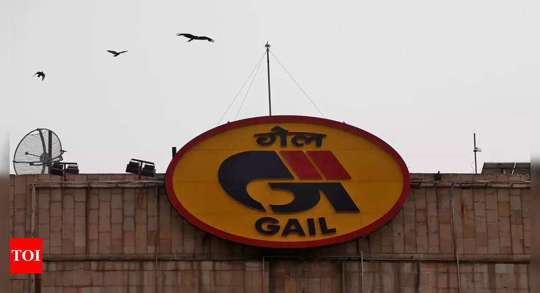 GAIL net profit falls 46% as Russian gas supply snag hurts petchem business – Times of India