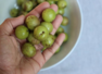 ​Is amla good for weight loss?