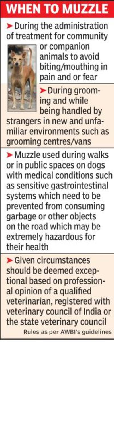 Dog lovers want NMC to drop muzzle rule