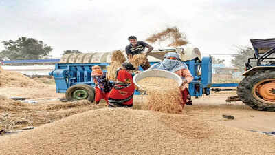 Telangana makes plan to buy Rs 1 crore MT paddy this year
