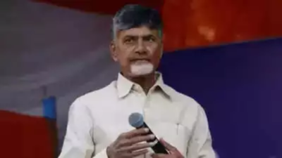 N Chandrababu Naidu appointed Telangana TDP chief | Hyderabad News
