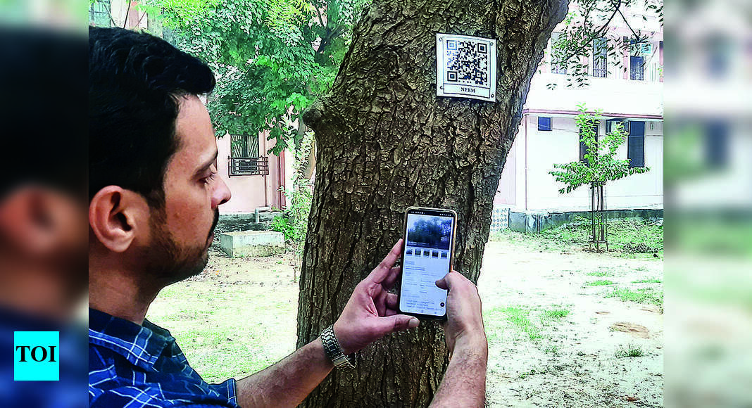 Meerut Qr Codes Installed On 351 Trees Of 70 Plant Species In Meerut