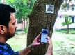 
QR codes installed on 351 trees of 70 plant species in Meerut univ
