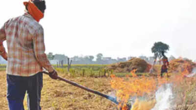 Punjab officials vow to put best foot forward