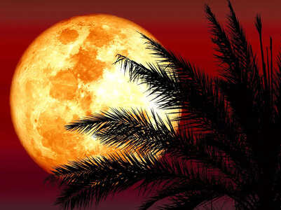Zodiac signs that will benefit during this Lunar Eclipse