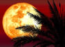 Zodiac signs that will benefit during this Lunar Eclipse