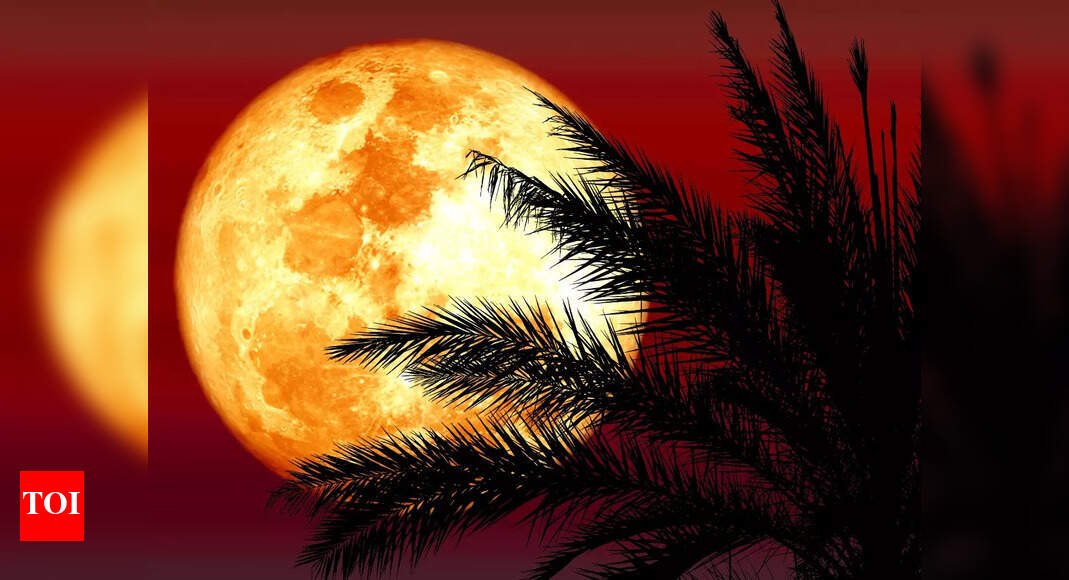 lunar-eclipse-on-8th-nov-2022-zodiac-signs-that-will-benefit-during