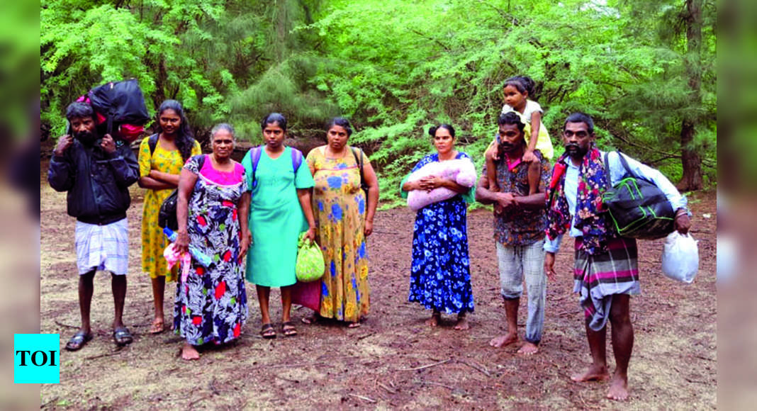 Dhanushkodi: 10 Sri Lankans Arrive In Dhanushkodi | Madurai News ...