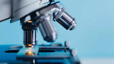 Rare find: Scientists discover new genus of fungus from Banyan leaves helpful in treatment of cancer