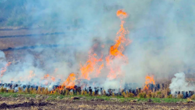 UP govt mulling stringent legal action as stubble burning cases spike