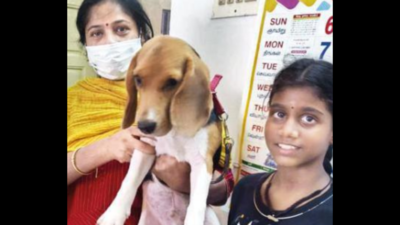 Chennai: Food delivery agent who stole pet dog arrested