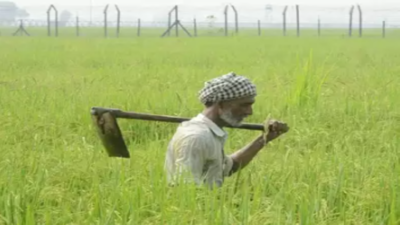 Rs 5,000 crore MSP paid to Punjab farmers in 1 day