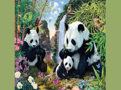 Optical Illusion: Find the 12 hidden pandas in this image