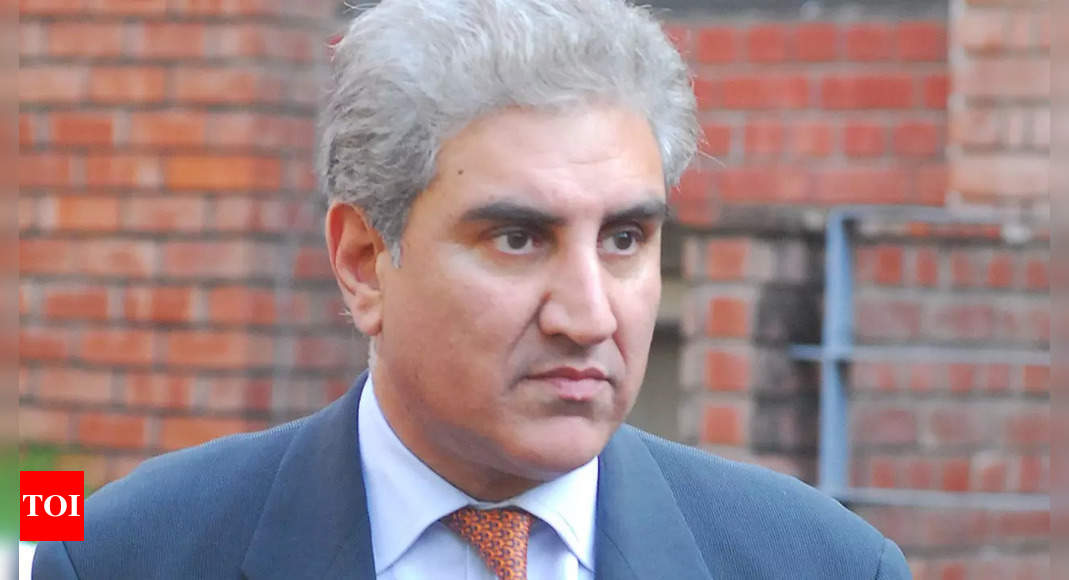 Pakistan’s former foreign minister Qureshi to lead march until Imran Khan recovers – Times of India