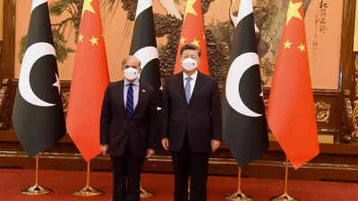 China says done 'utmost' and will continue to do so to stabilise Pakistan's weak economy