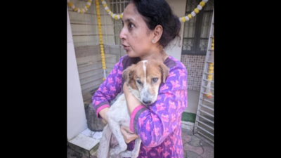 Lost blind dog reunited with feeder in Mumbai
