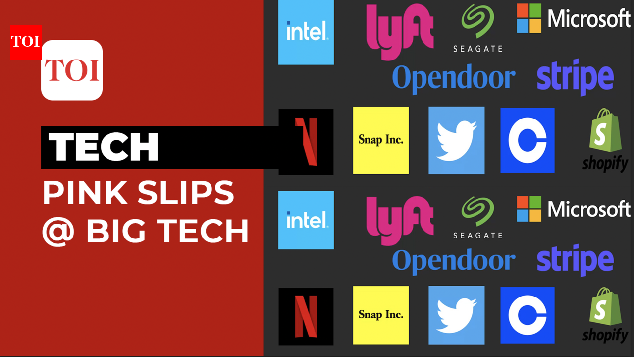 Not just Twitter and Meta, many big tech companies have laid off people