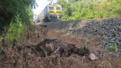 Viral Video: Telangana Boy Hit By Speeding Train While Making