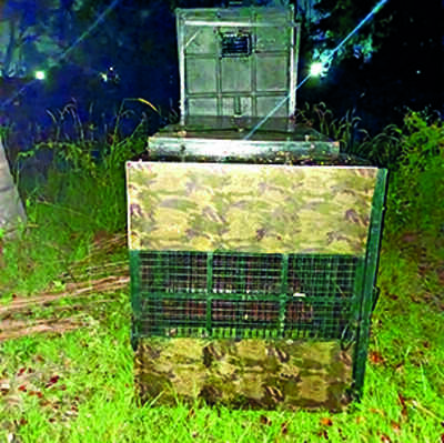 Karnataka: Brindavan Gardens closed for third time over leopard scare