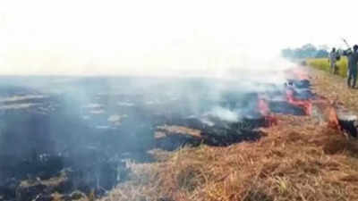 With 2,400 cases in 24 hours, stubble burning spikes in Punjab again