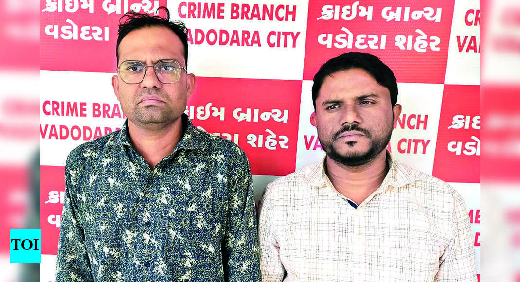 Two Arrested For Cyber Fraud | Vadodara News - Times of India