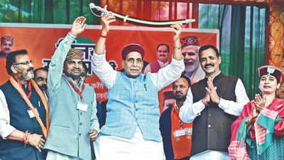 Congress is wide ball, AAP a no ball: Rajnath Singh on rivals
