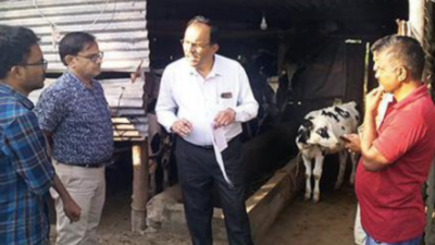 Karnataka: Foot and mouth disease vaccination drive starts