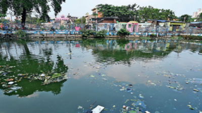 Kolkata: Tangra on edge after spate of dengue deaths
