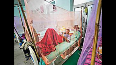 427 dengue cases reported from 14 districts in Assam