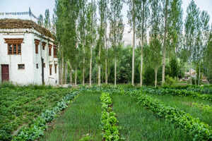 Homestays in Ladakh for a home-away-from-home experience