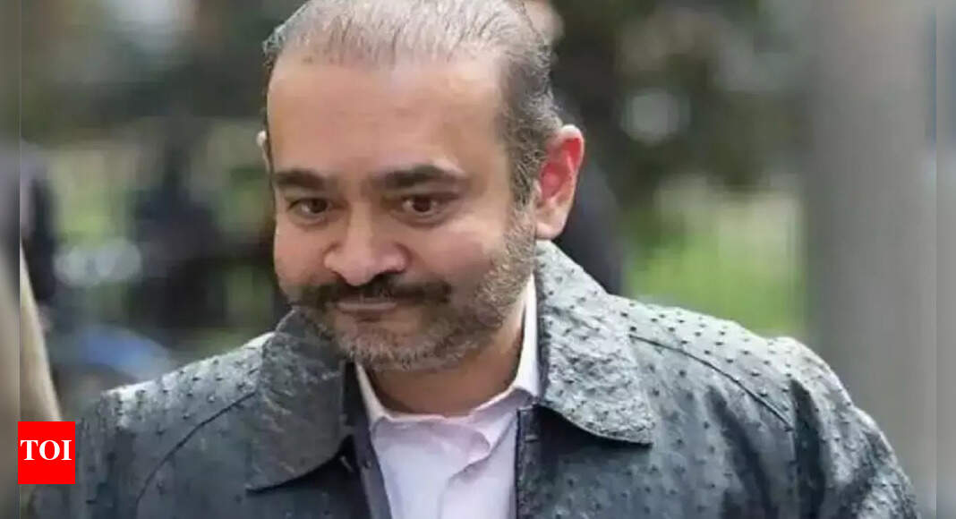 PNB scam: Nirav Modi loses appeal against extradition in UK high court