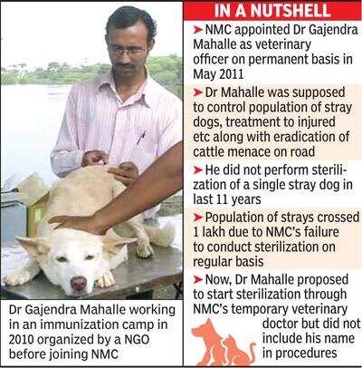 Busy in solid waste dept, NMC vet sterilized ‘0’ dogs in 11yrs