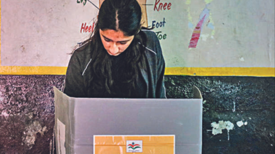 Gurugram sees 76% voter turnout in panchayat polls, Haryana average 70%
