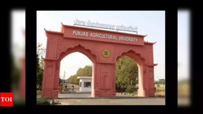 Punjab Agricultural University to light up museum on Punjab rural life