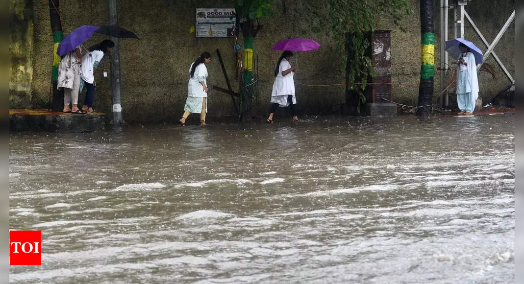 rain-holiday-declared-for-schools-colleges-in-chennai-and-five-other