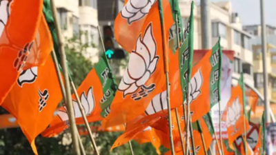 Kerala local body bypoll results 2022: Congress-led UDF wins 15 wards, LDF 12, BJP 2