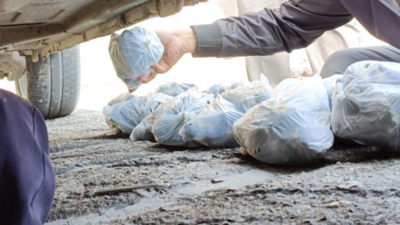 NCB seizes 8.6 kg of cannabis in Himachal Pradesh, conducts raids in Punjab