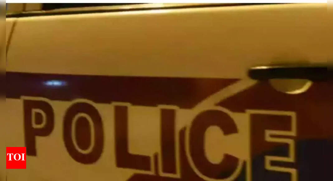 Live gelatin sticks with detonator found under Raigad bridge Navi