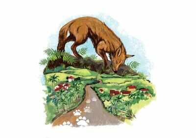 Once ubiquitous, the jackal is fading into silence