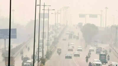 Premature ageing? Delhi pollution leaving its mark on skin