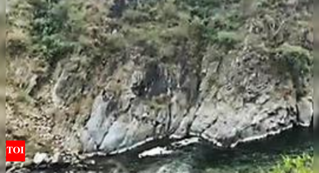 Love struck man chased off cliff into river by mob in Uttarakhand