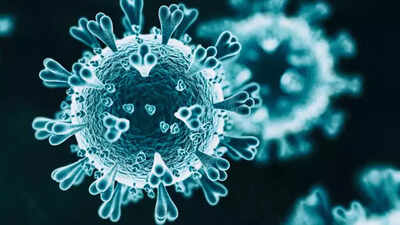 Just a few, but cause for worry: Kolkata doctors report double whammy of Covid & dengue