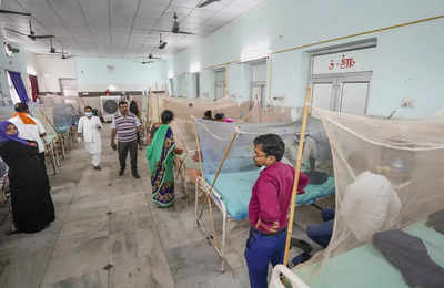 Dengue reinfections up, can be fatal unless treated promptly | India ...