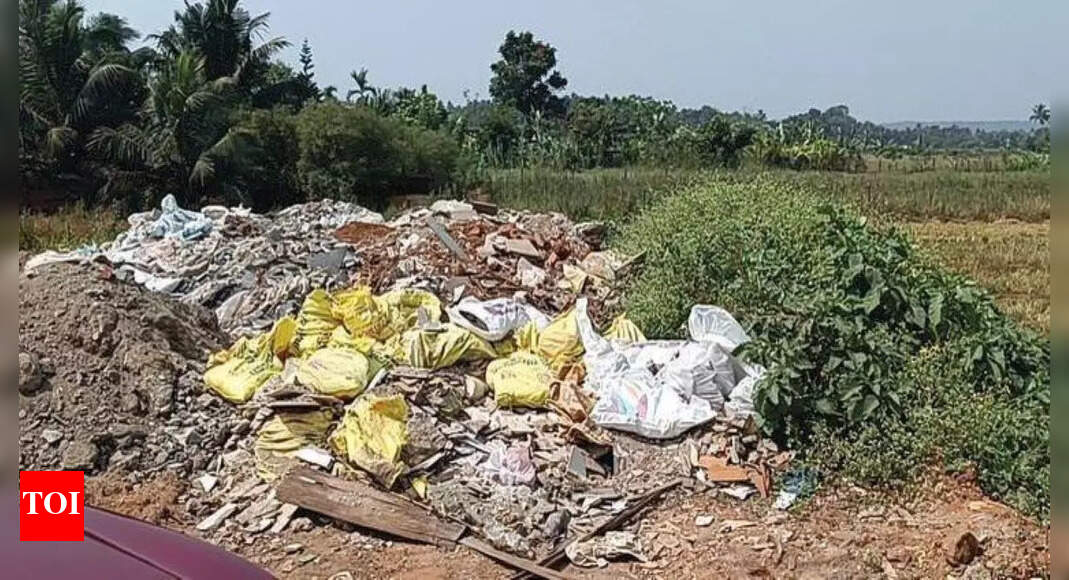 Calangute: Goa: Man caught dumping debris in Calangute fields, fined Rs ...