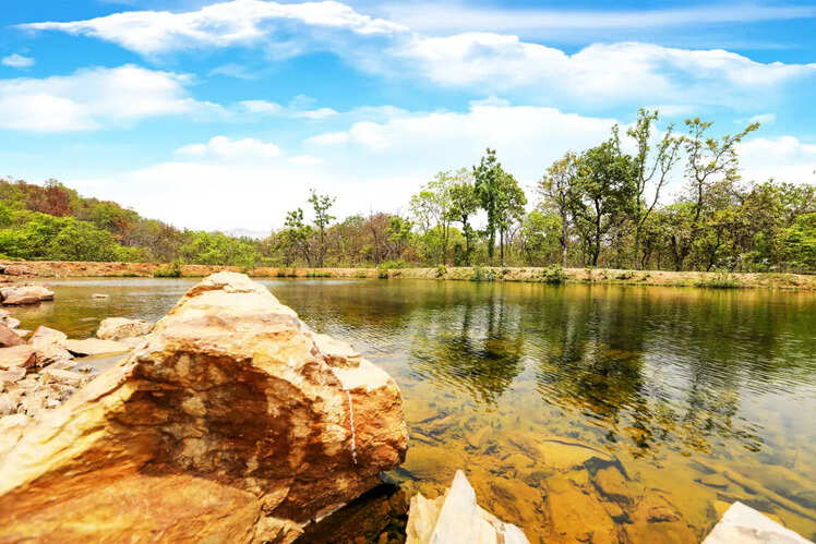 Bhimbandh Wildlife Sanctuary, Munger