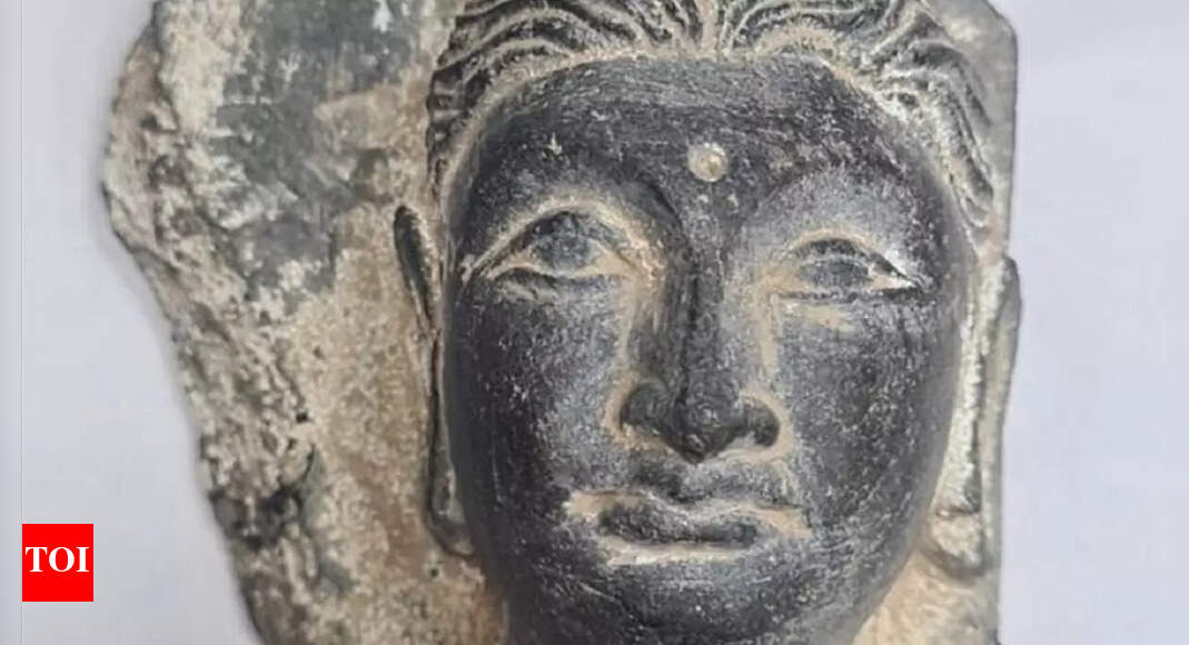 Punjab Antique stone sculpture of Buddha seized from foreign national
