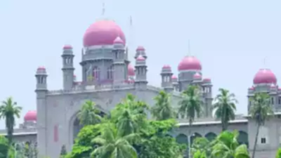 Telangana HC may hear plea against rejection of Raja Singh remand report