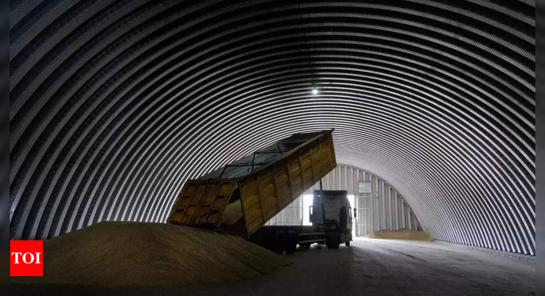 UN reports progress on Russia's grain and fertiliser exports