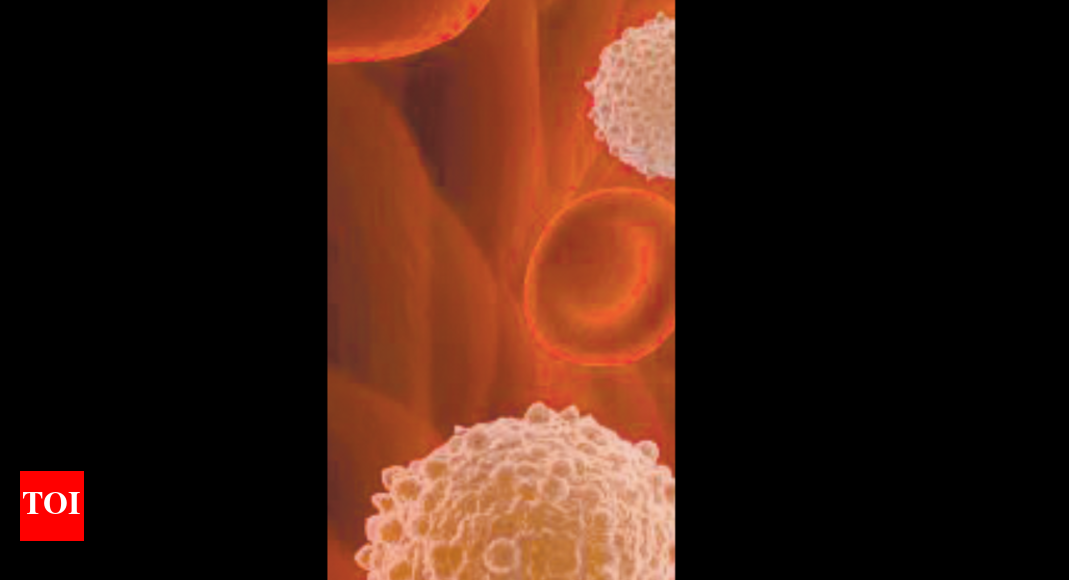 2% Of 9.75l Screened Tribal People Have Sickle Cell Trait | Indore News ...